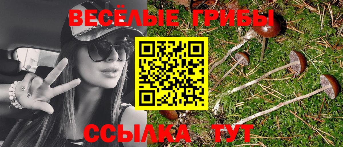 Бугуруслан  Галлюциногенные грибы прущие грибы  Вход с VPN 